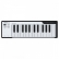 Arturia Microlab Black 25 - Teclado Controlador Midi USB