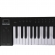 AMW Midiplus Band Teclado X8 II Black 88 Teclas