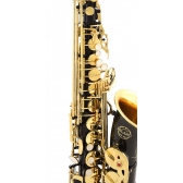 Milano Saxofone - Alto Preto com Tubo e Chaves Laqueadas Mi Bemol Eb + Estojo + Acessórios MALS61
