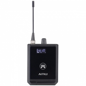 AMW PWM100 v2