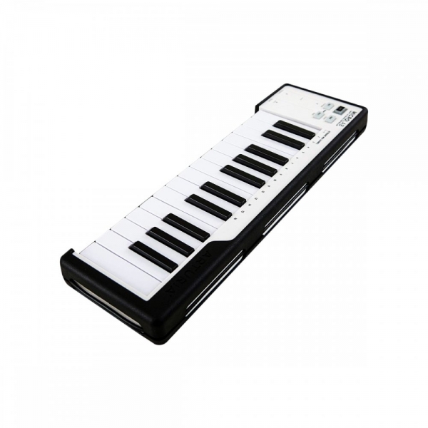 Arturia Microlab Black 25 - Teclado Controlador Midi USB