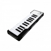 Arturia Microlab Black 25 - Teclado Controlador Midi USB