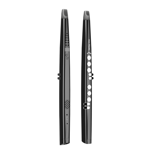 AMW EWI W100 - Controlador Midi de Sopro com Sons internos